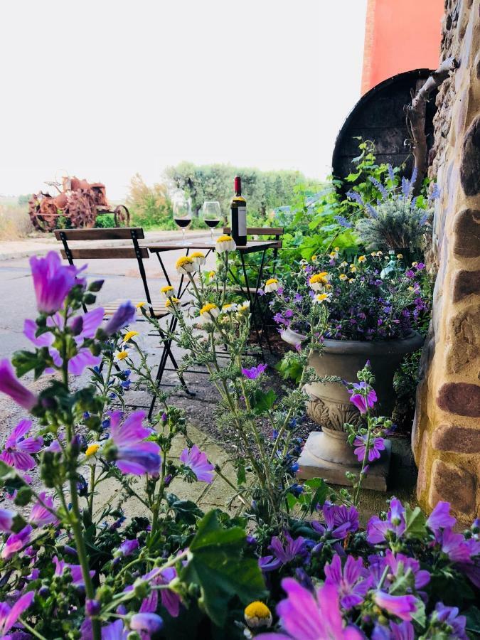 Cabana Del Tio Pepe Ainzon Dış mekan fotoğraf
